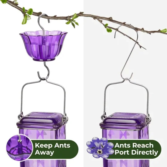 24oz Leak-Proof Glass Hummingbird Feeder