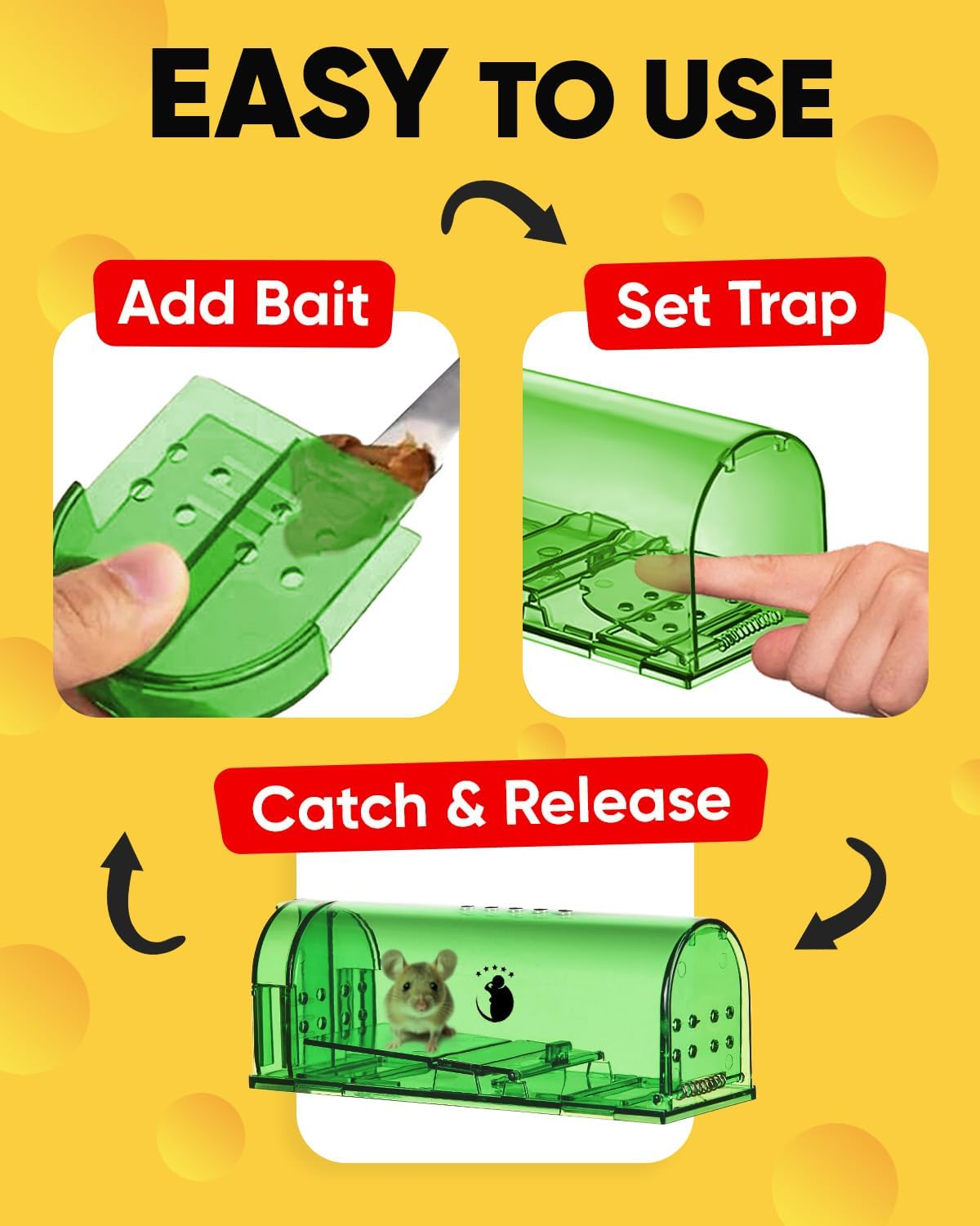 4-Pack Humane Mouse Trap