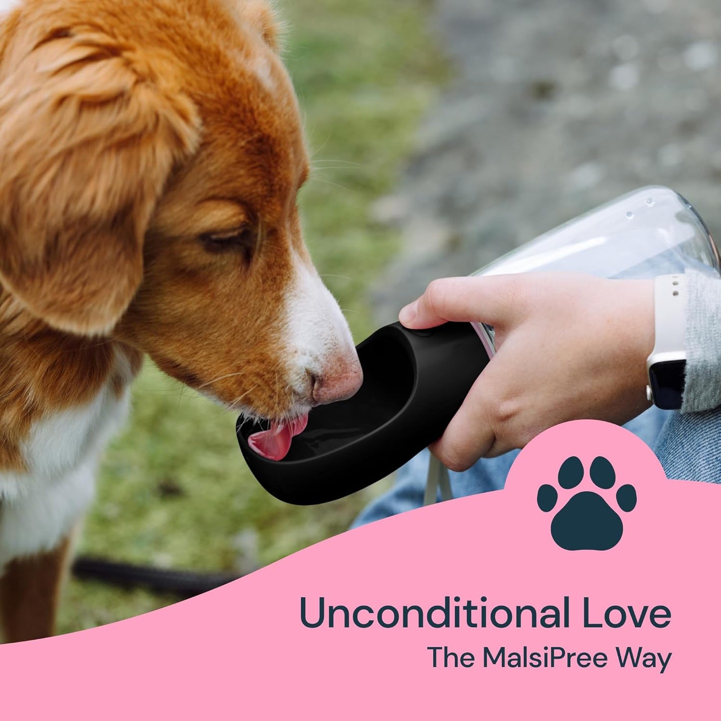 19oz Portable Water Bottle for Dogs