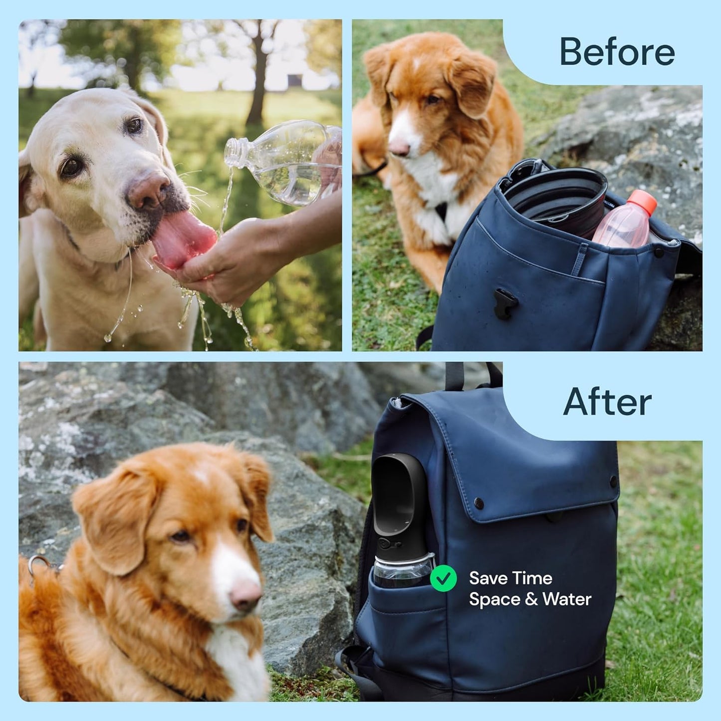 19oz Portable Water Bottle for Dogs