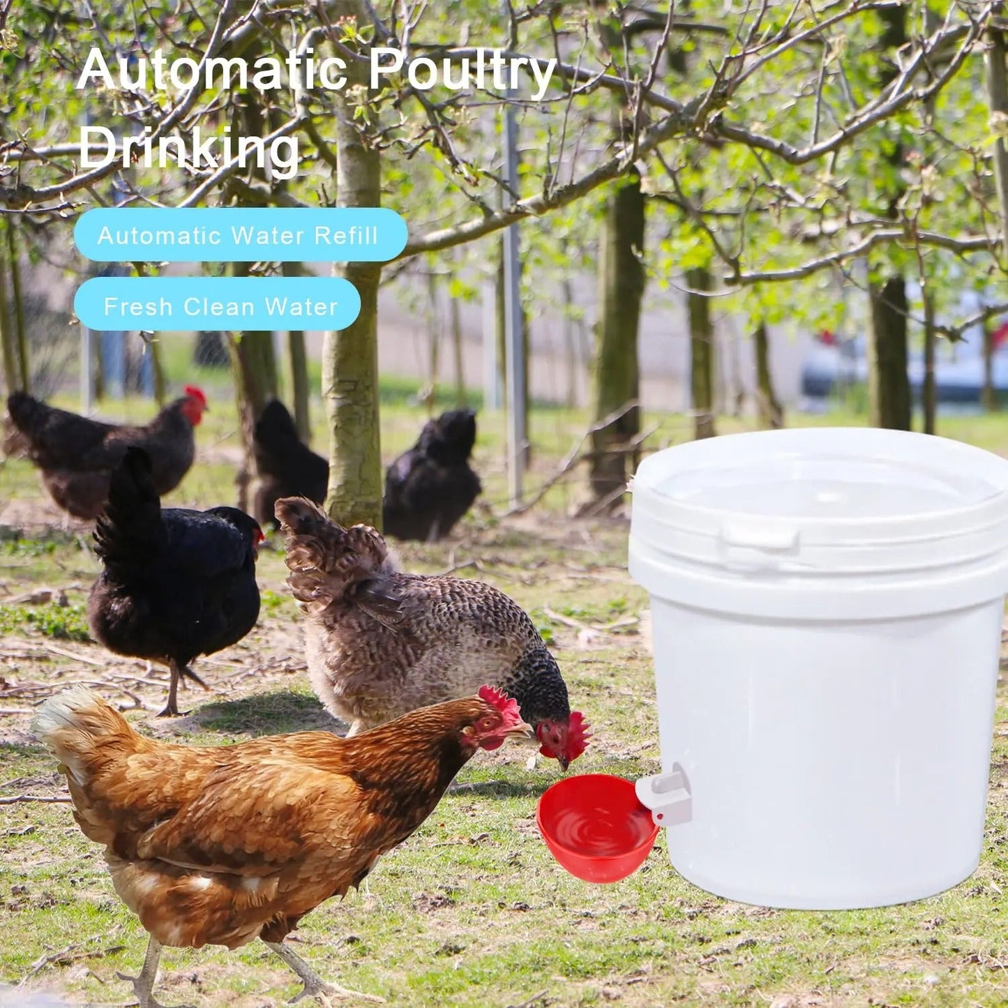 Automatic Chicken Waterer Cups, 10-Pack