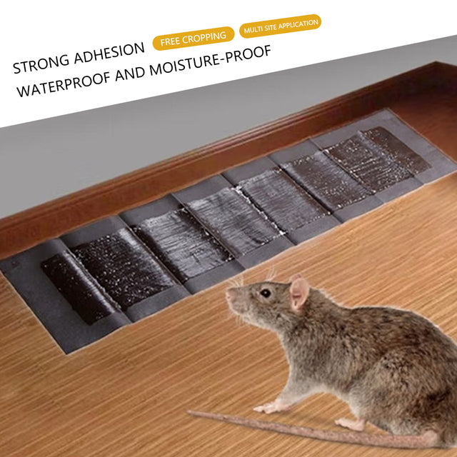 5-Pack Extra-Large Glue Pads for Mice & Rats