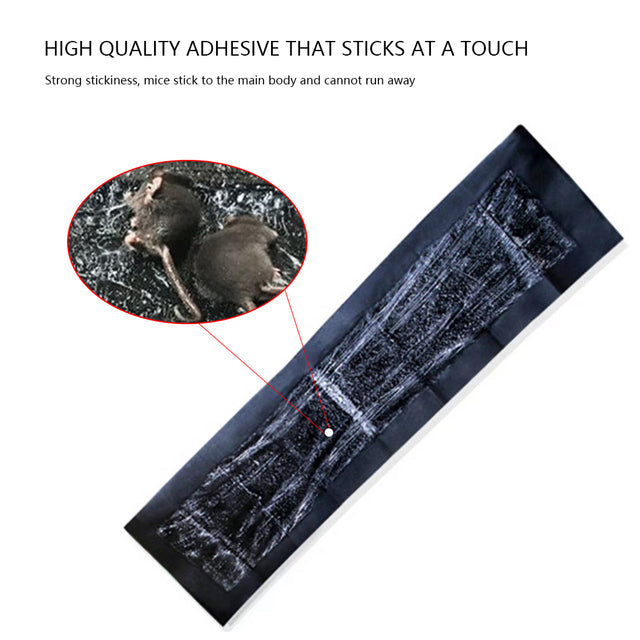 5-Pack Extra-Large Glue Pads for Mice & Rats