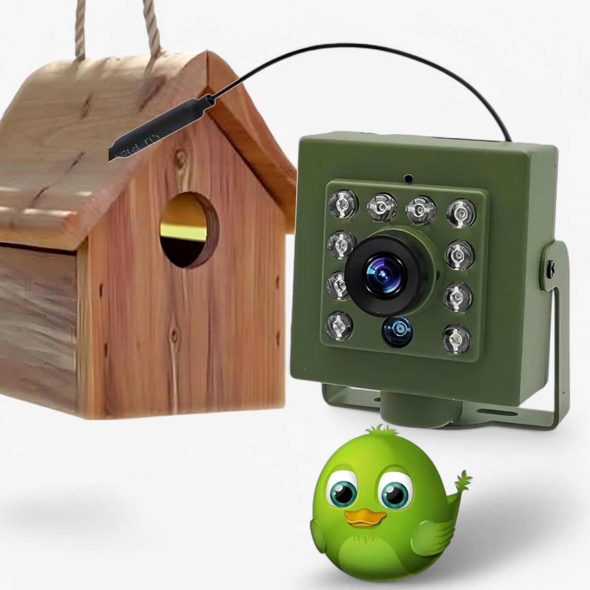 1080p HD Wildlife Camera, Night Vision